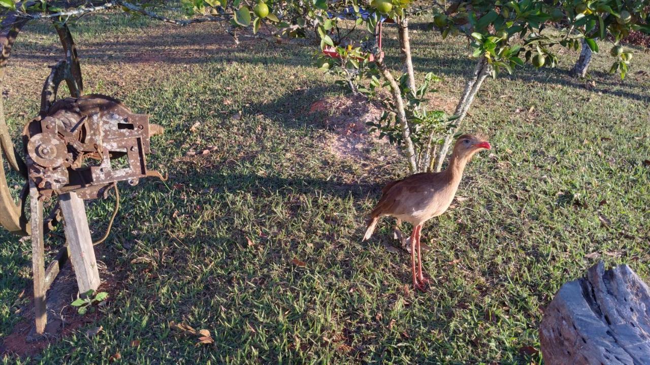 Pouso Da Siriema - Villa Bizuca Tiradentes Luaran gambar